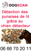 dogscan